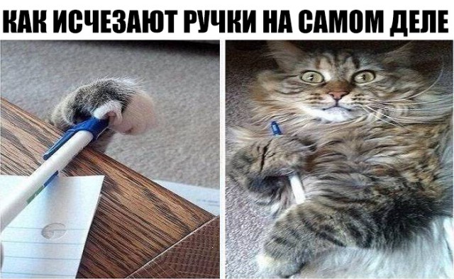 Немного картинок для настроения