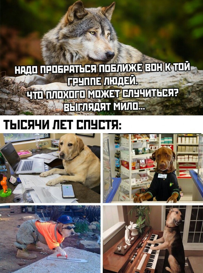 Нестандартный юмор