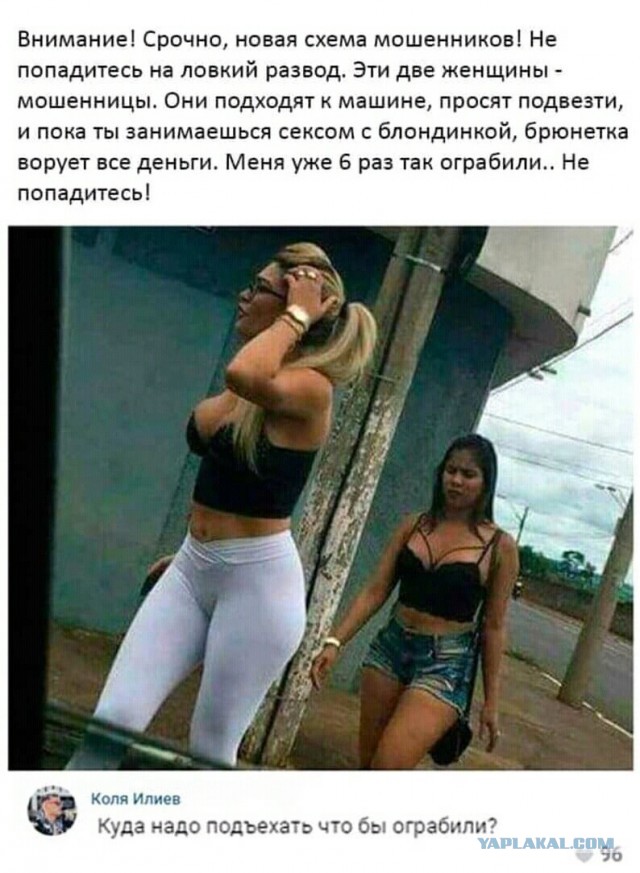 Разводила в аэропортах Москвы
