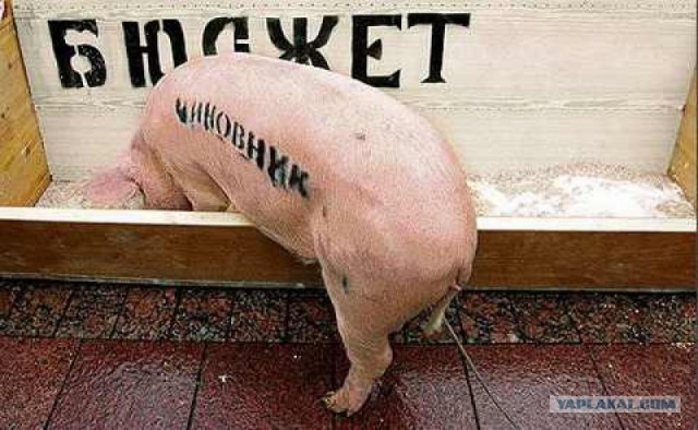 Нас обворовывают ежедневно!