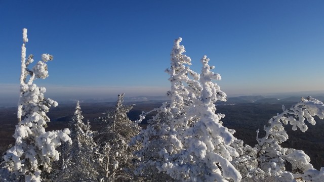 Немного зимних фото