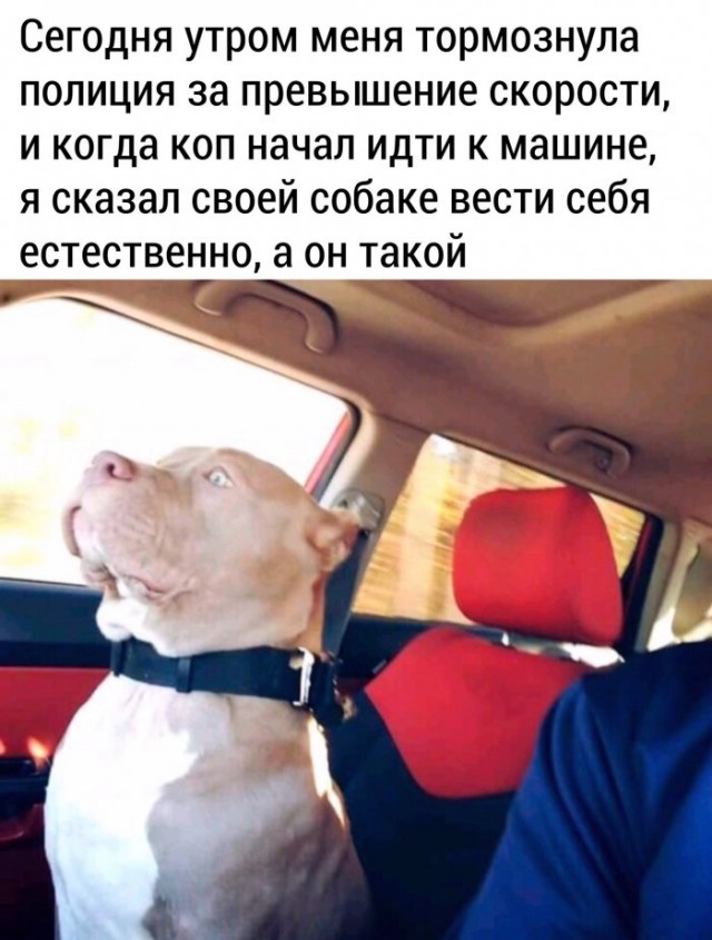Немного картинок для настроения 11.04.20