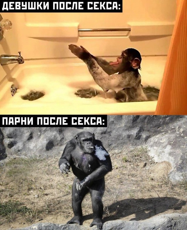 Очень пошлые картинки про это.18+
