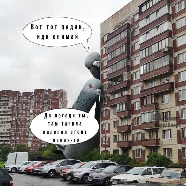 Чуток картинок 26.06.20