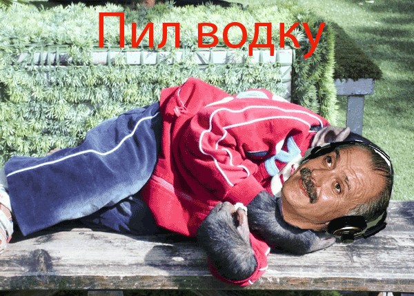 Фотожаба: Никита Михалков