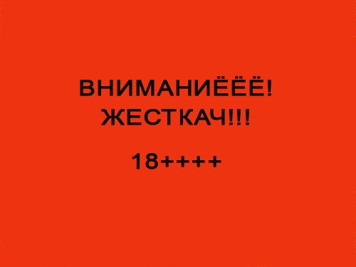 Кот певец