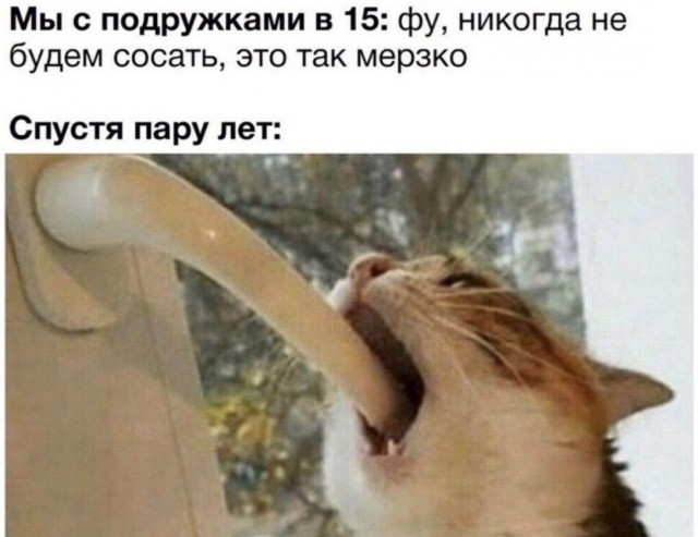 (Не) детские картинки (16+)