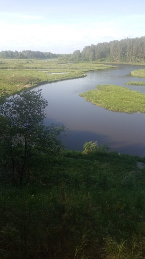 Где-то на Урале лес заменяет людям небо