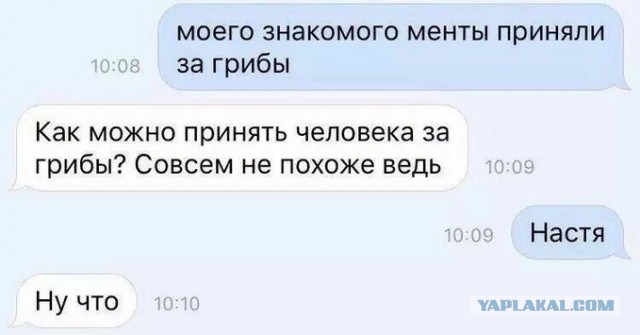 Бредзона 15.10.2020