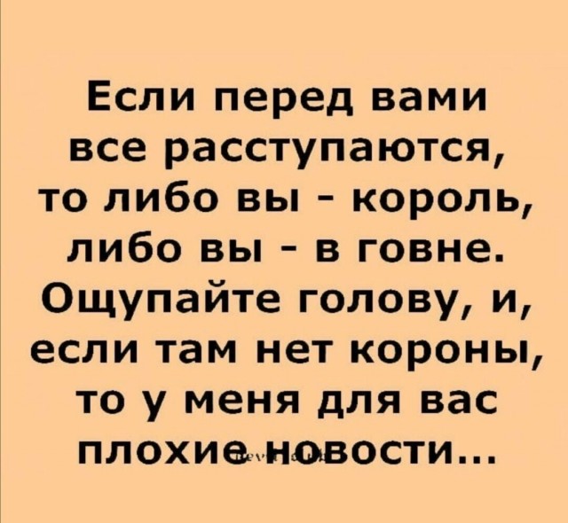 Фотки и картинки: юморные и красивые, забавные и милые 28.10.20