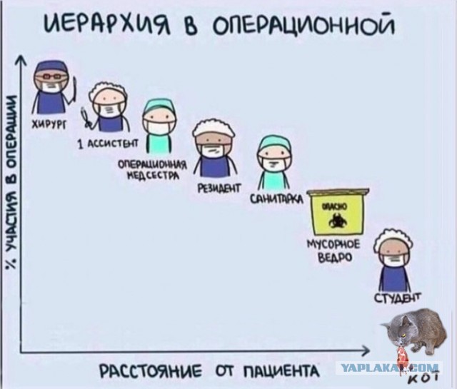 Юмор в картинках 29.11.20
