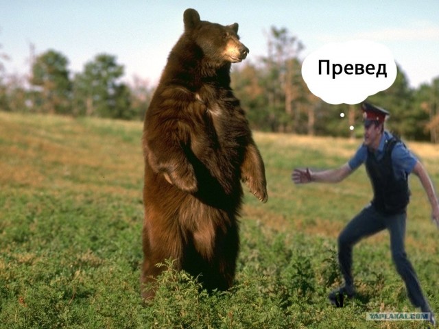 Школьники и полицай