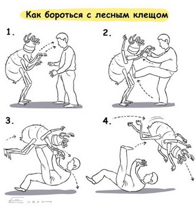 Подборка старых мемов и баянов