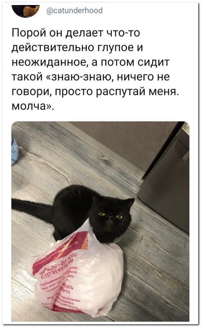 Бредзона 22.12.20