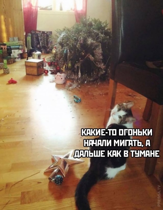 Картинки и мемы для настроения 030