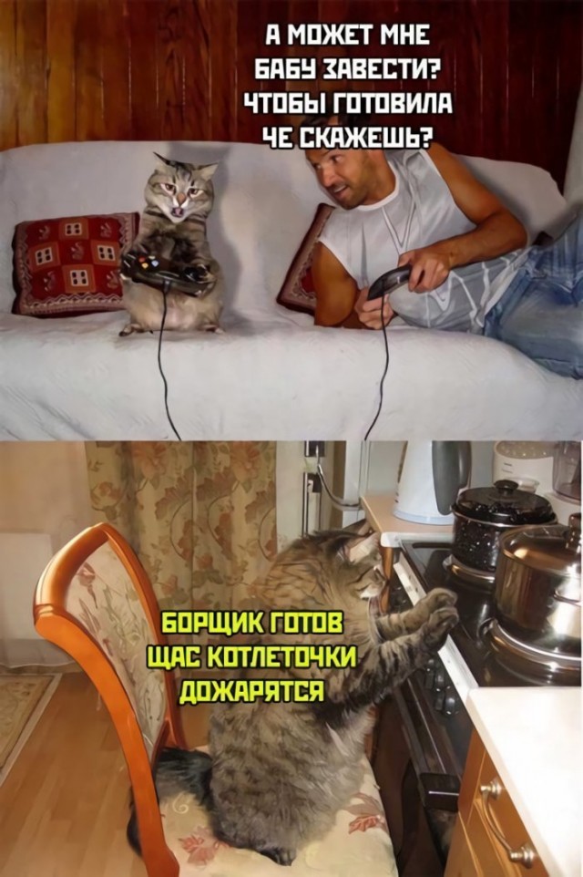 Картинки и мемы для настроения
