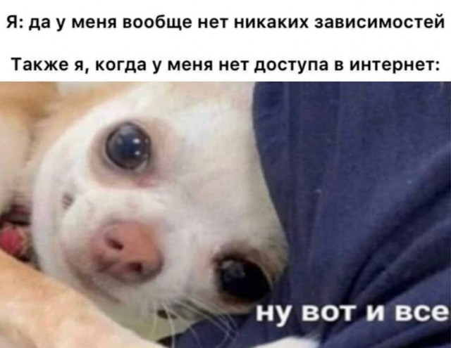 Весёлый полтишок 11.03