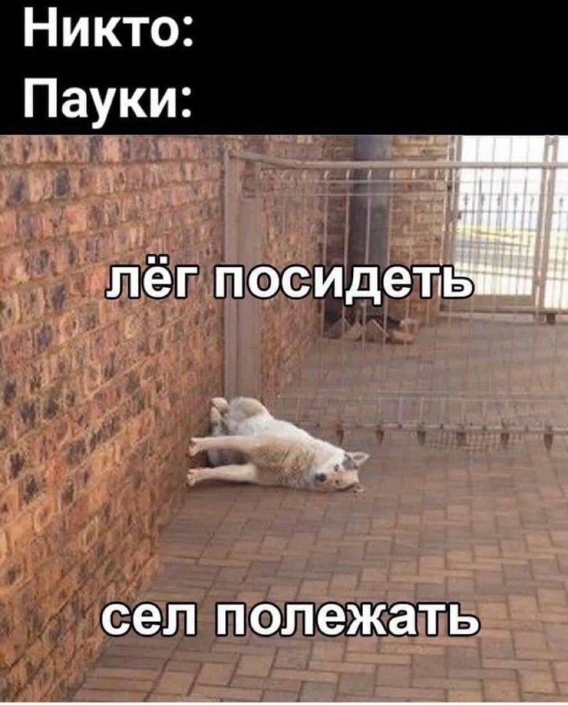 Картинки на вчера