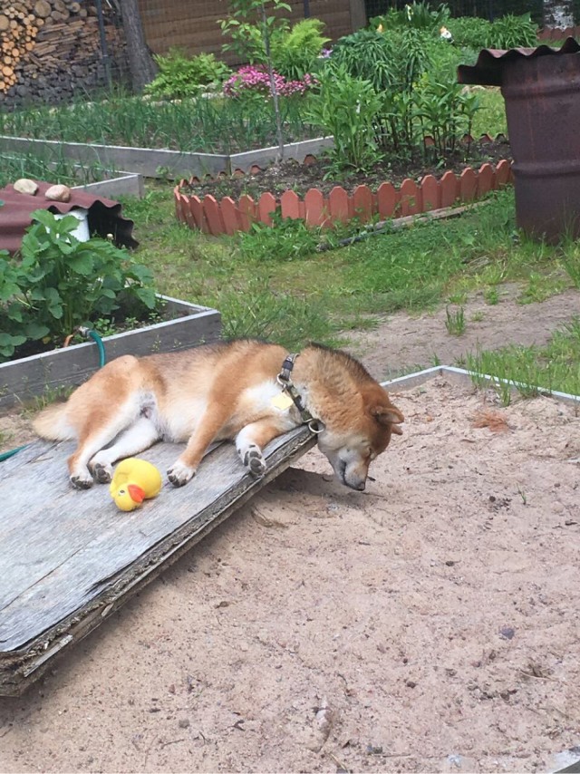 Парень который всегда рядом