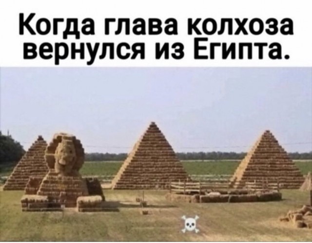 Картинки и мемы для настроения 09.06.2021