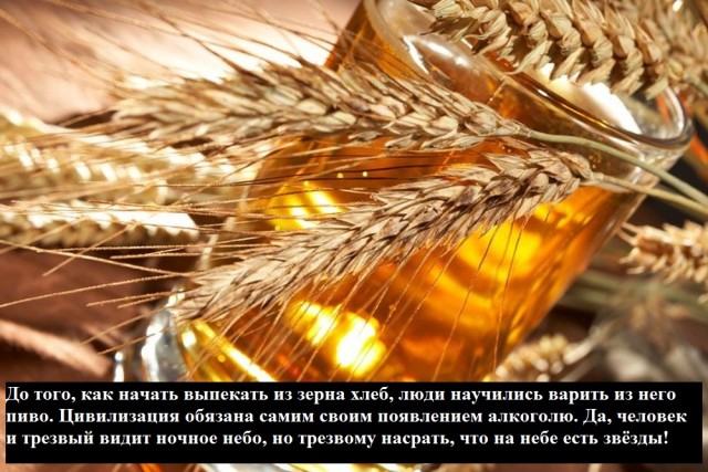Вот все говорят – слабо выпить? Я отвечаю – Выпить то мне не слабо, а вам слабо не выпить?! Часть 2.