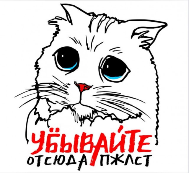 Всяческие картинки 17.01.2022