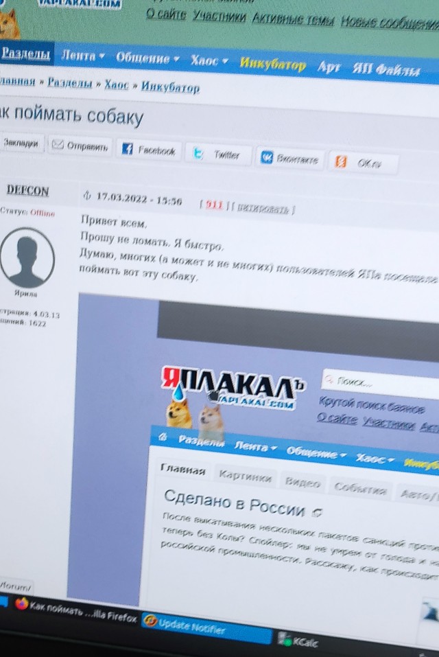 Как поймать собаку