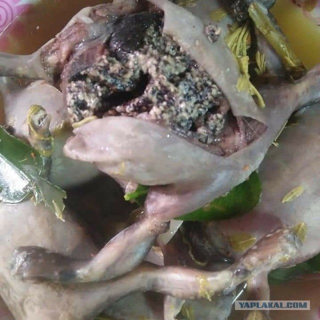 Десять самых отвратительных продуктов, которые едят люди ‒ гастрономический мазохизм