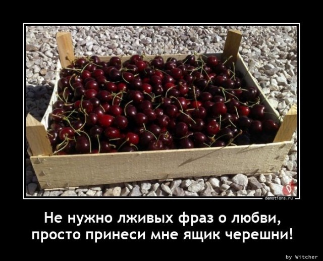 Подборка картинок с надписями 23.06.22