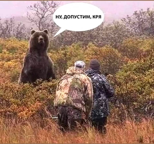 Весёлый полтишок 20.07.2022