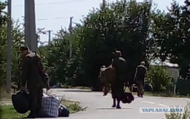ВСУ объявили о начале наступления на южном фронте