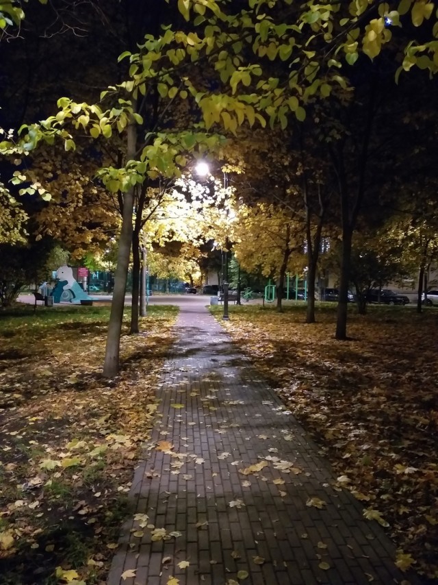 Вечер  в Питере. Прямо сейчас