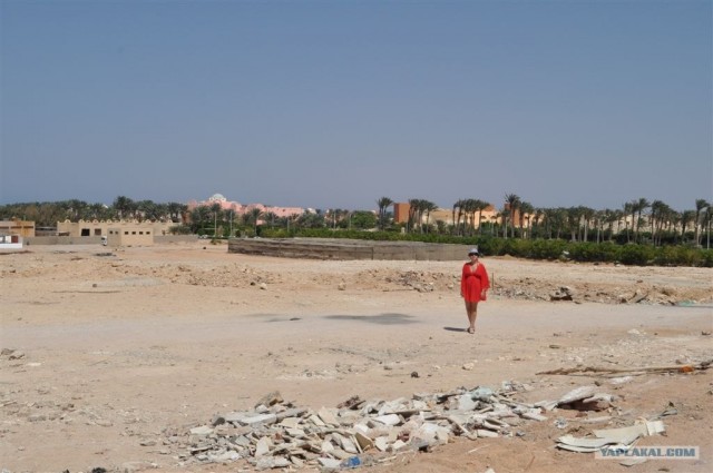 Как я ездил в Египет