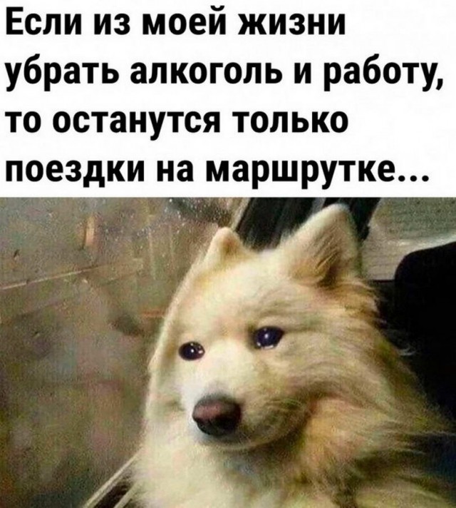 50 оттенков серого или самосвал баянов. Vol.27