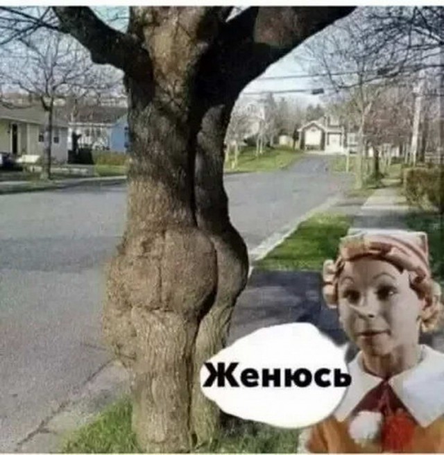 Немного картинок для настроения - 129