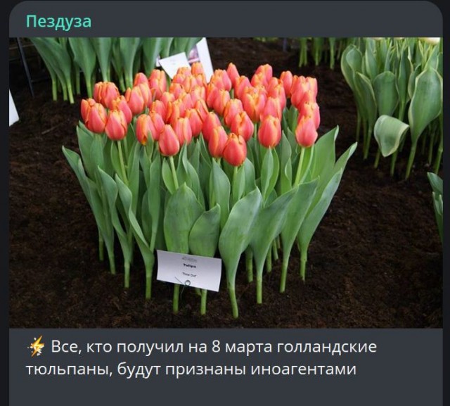 Победная поступь идиотизма по планете – том 10