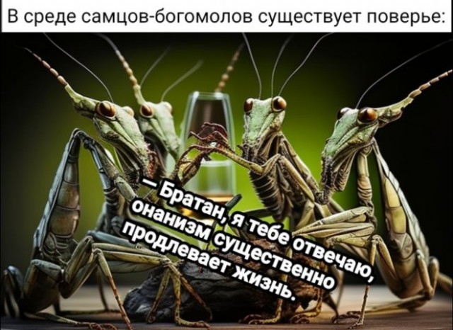 Картинки и мемы для настроения - 137