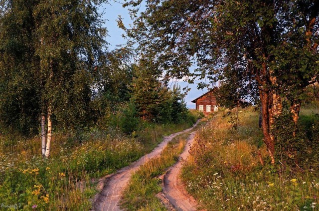 Как раньше выглядело лето, а не это вот всё.