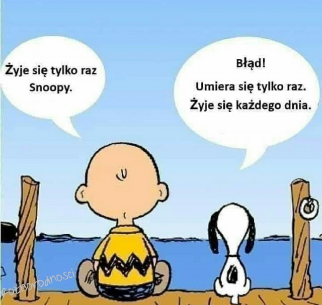 Как вы смирились, что жизнь не удалась?