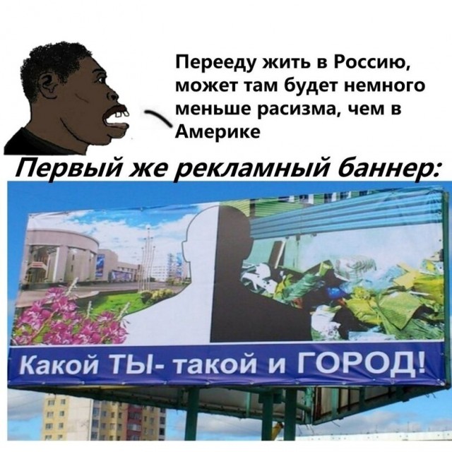 Перлы 12.10.23