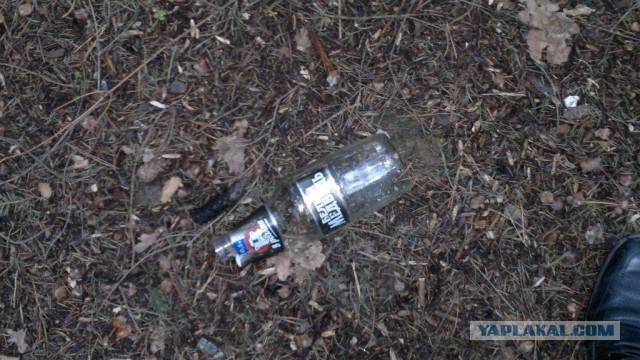 Сходил в лес