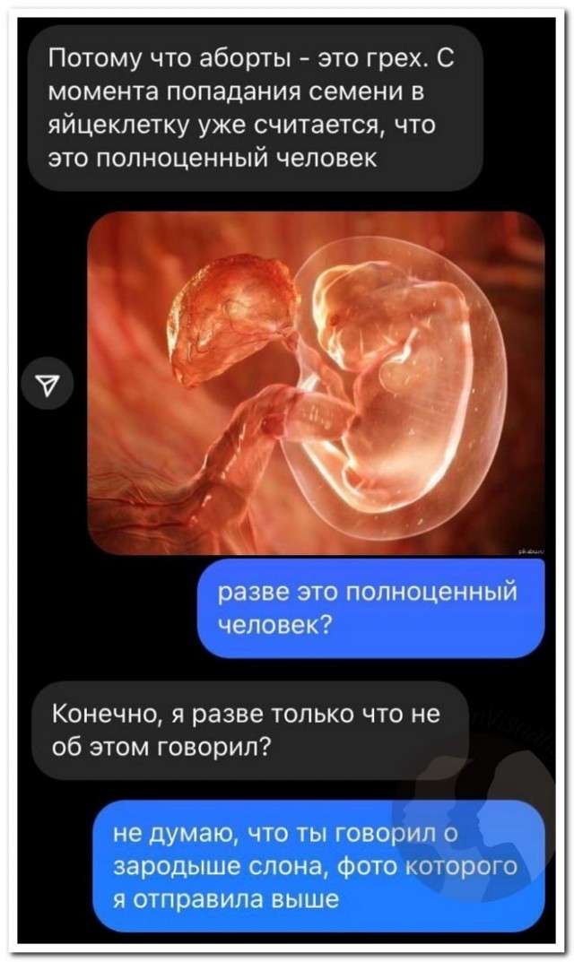 Забавные комментарии из социальных сетей (20.11.23)