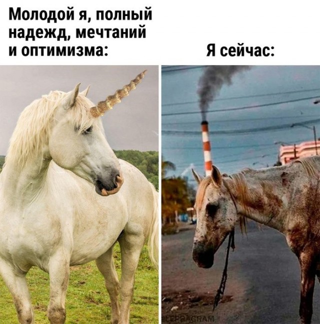 IT. Войти и выйти. Приключение на 20 минут