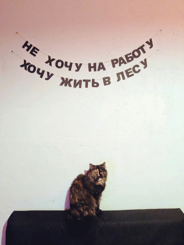 Немного субботней всячины
