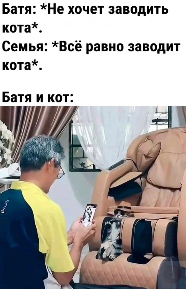 Веселые картинки к пятнице (07.06)