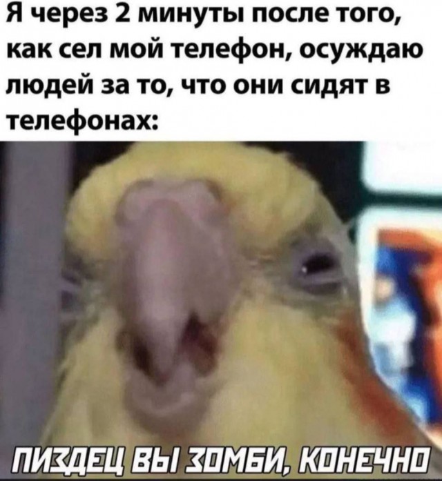 Никакие картинки