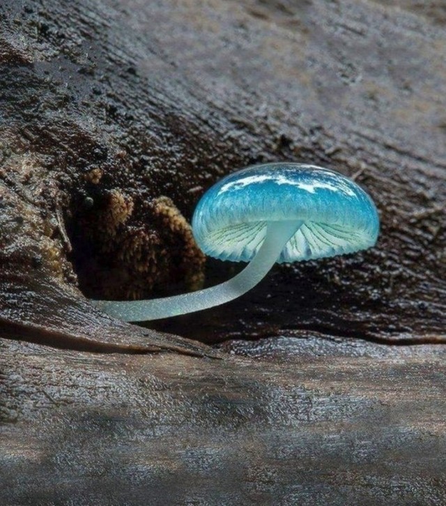 ФотоВинегрет