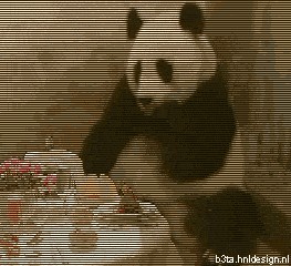 H1 P1 панда