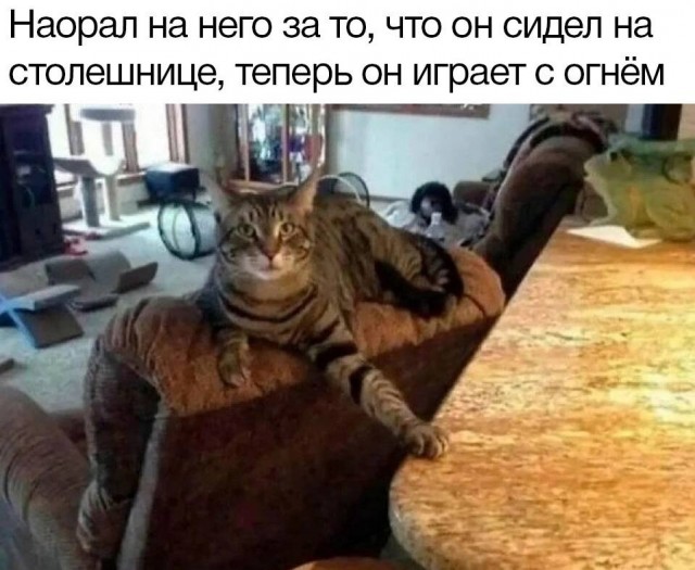 Подпеваем и деградируем вместе