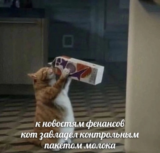 Так себе картинки 18.11.24